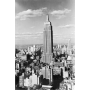 Iconic American Architecture