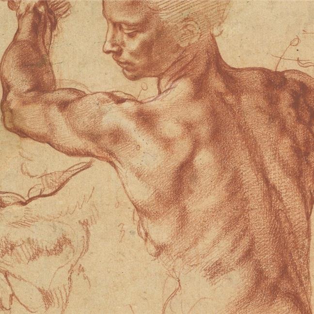 Michelangelo in Focus
